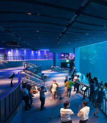 SEA Aquarium