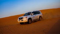 Desert Safari